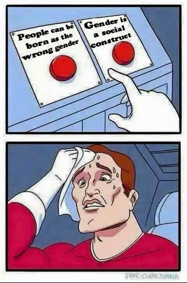 9bc.jpg