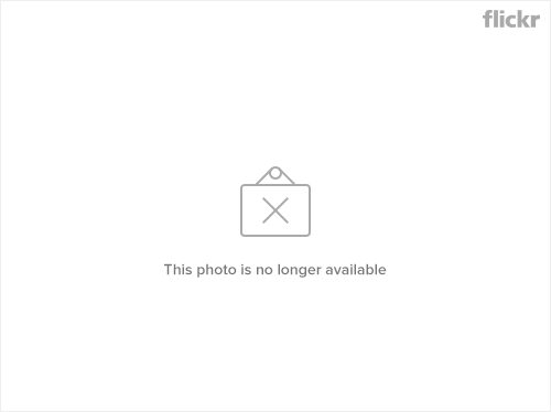 170112499_d2336577b8.jpg