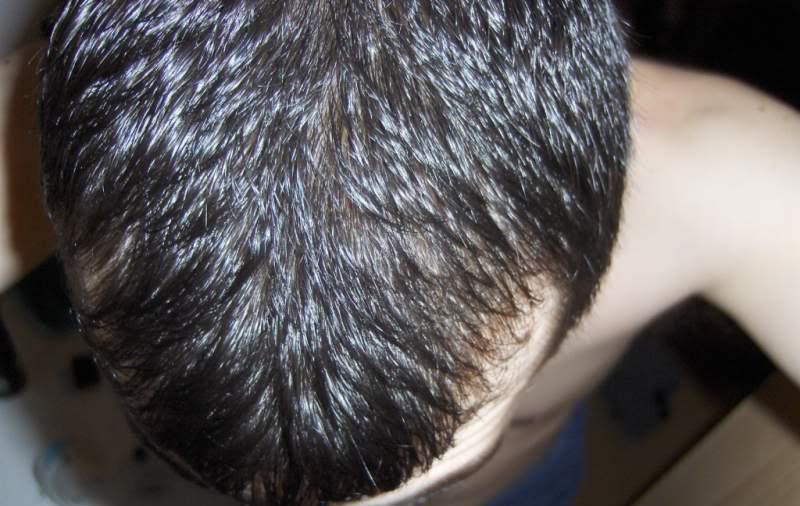 wet1.jpg