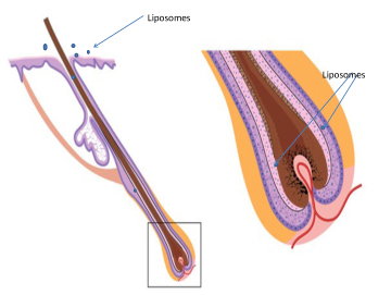tecnica-Dott.Brotzu-1.jpg
