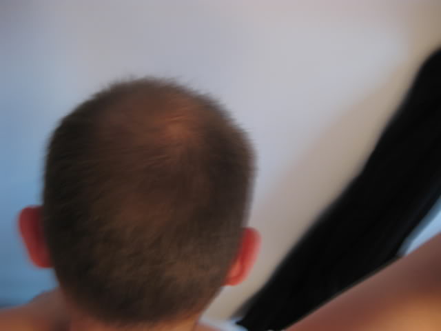Picture004.jpg