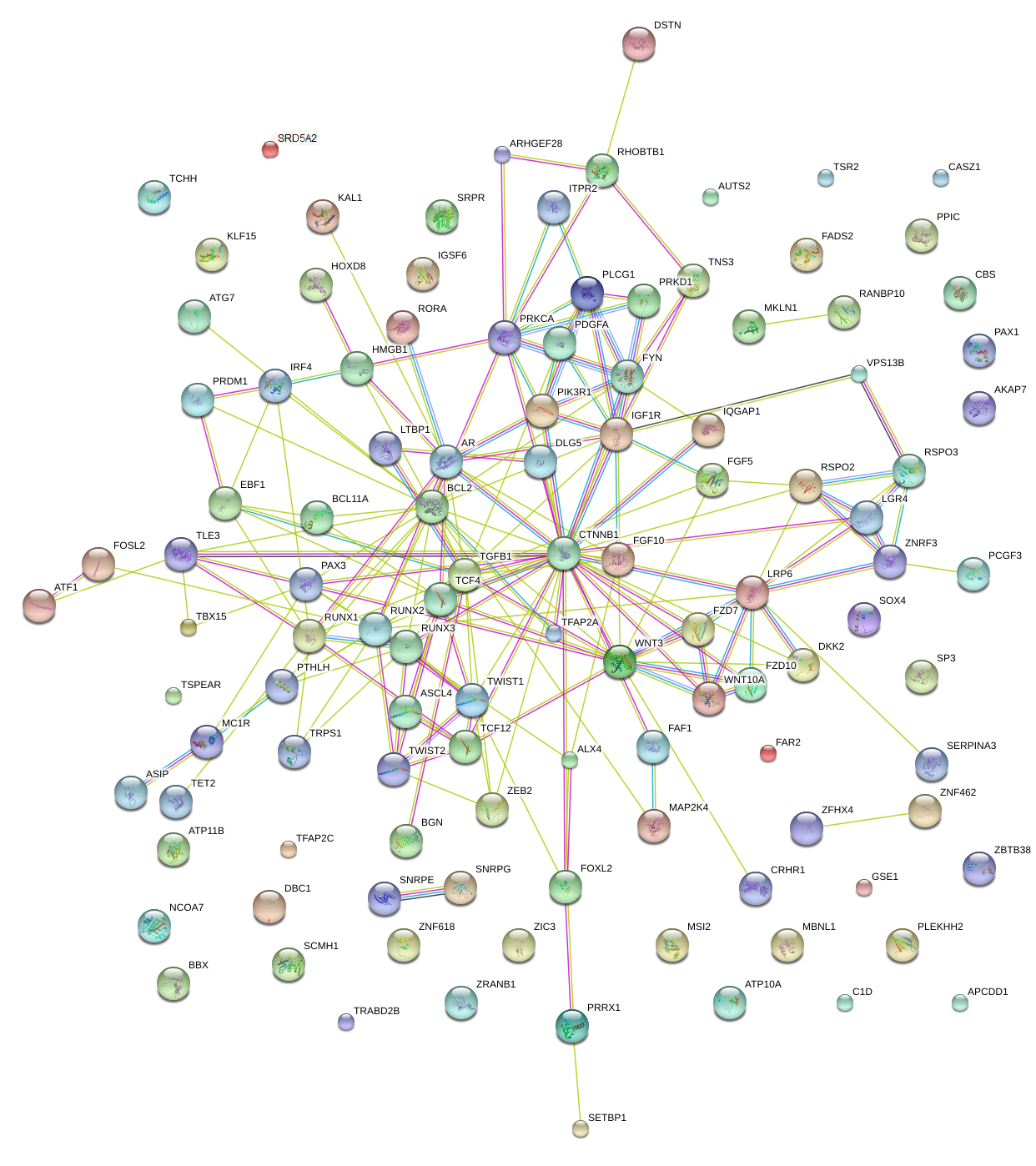 aga_combined_stringdb.png