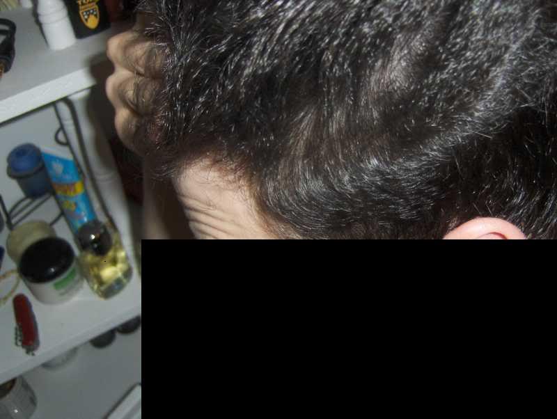 hairup2a.jpg