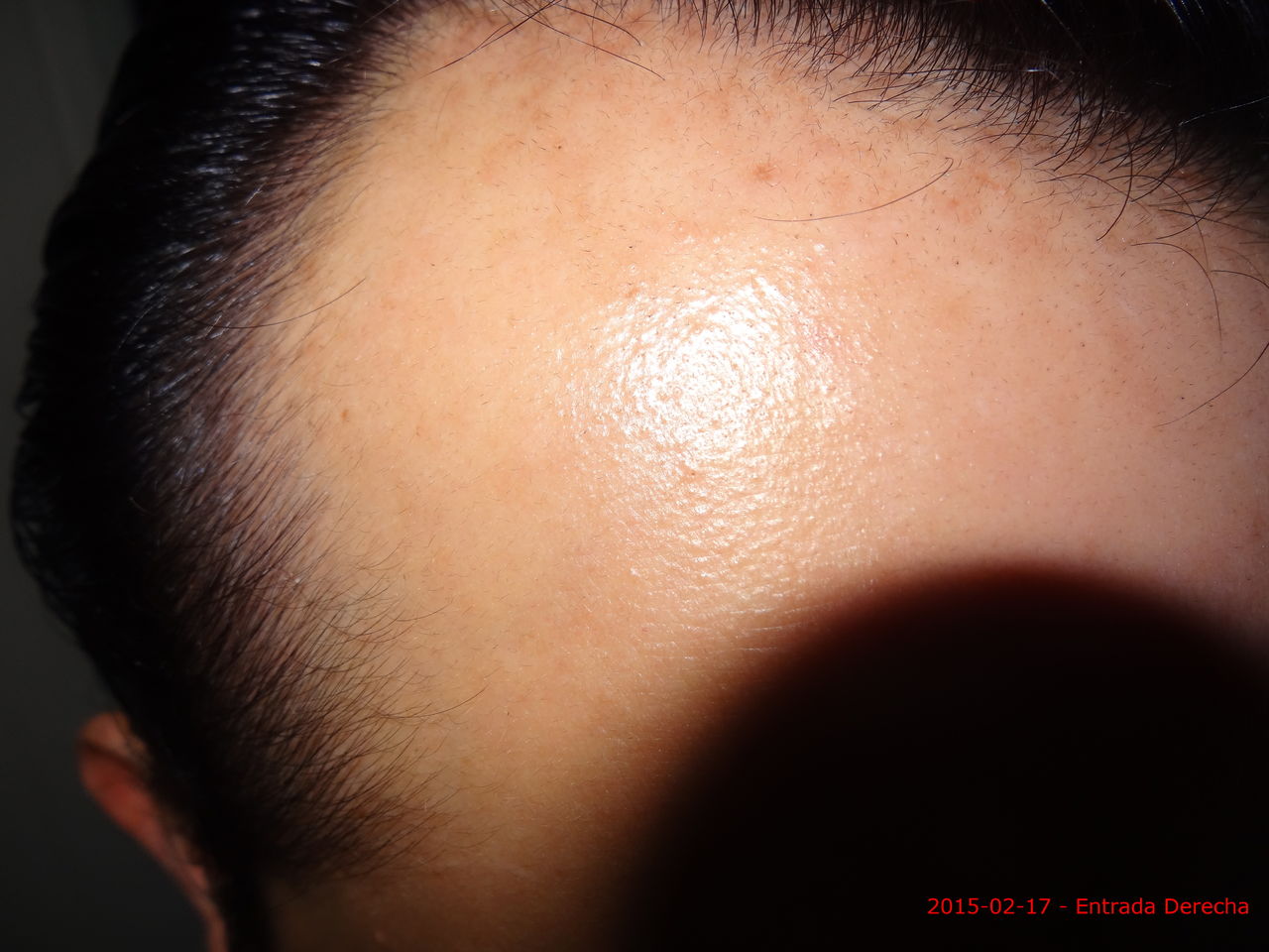 DSC02727_2015_02_17_ED.jpg