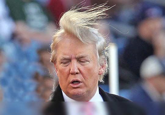 trump-hair.jpeg
