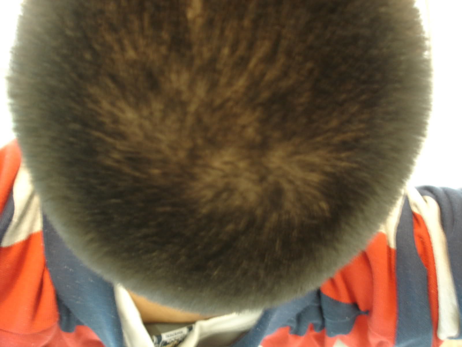 fasodg.jpg