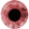 scienmag.com