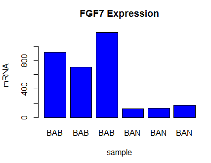 fgf7.png