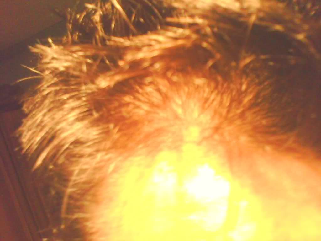 qxjfx1.jpg