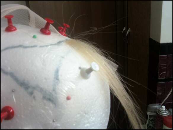 HairExperiment_zps77355b31.jpeg