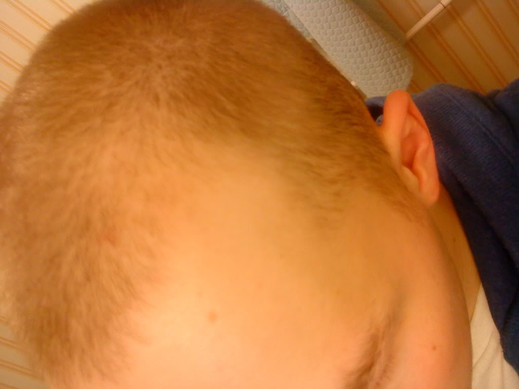 April2010051.jpg