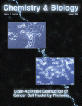 www.sciencedirect.com