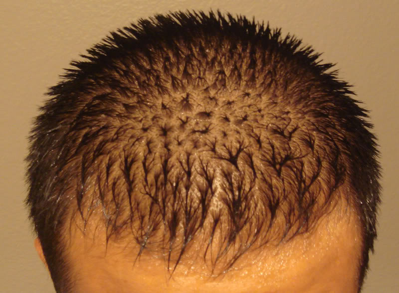 front_wet.jpg
