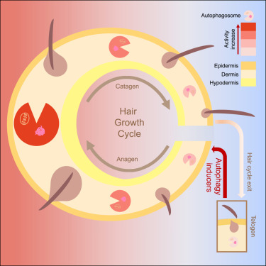 www.sciencedirect.com