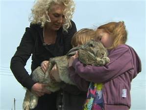 100429-bunny-3ofus-6a.standard.jpg