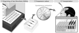 www.sciencedirect.com
