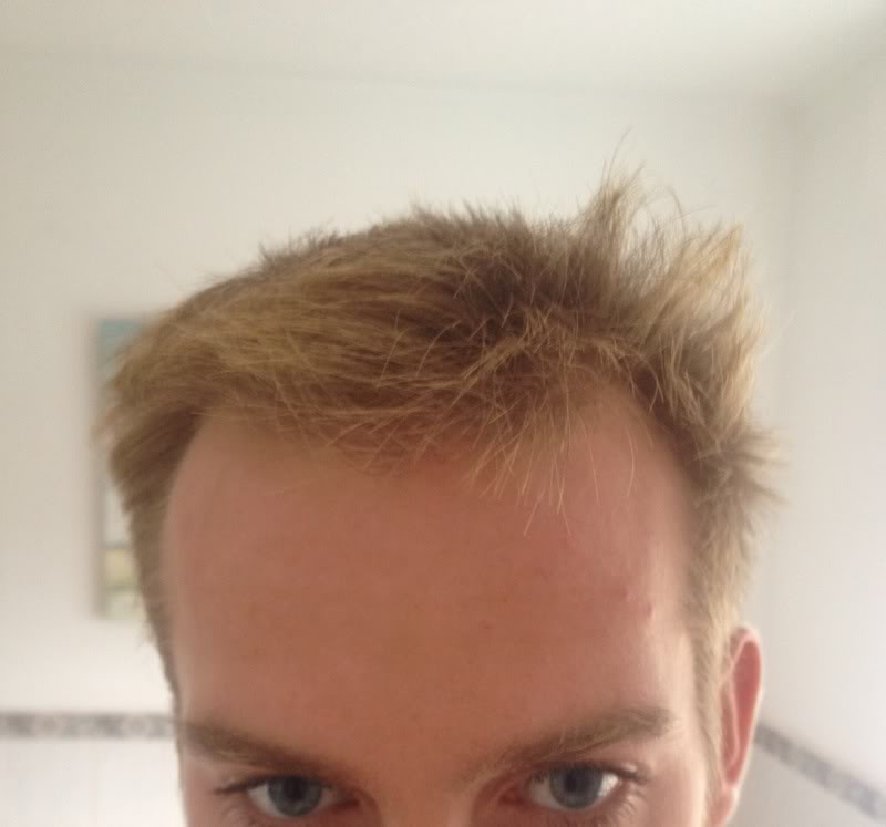 hairshot3.jpg