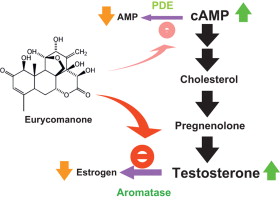 www.sciencedirect.com