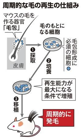 news.goo.ne.jp