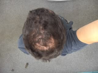 pic3.jpg