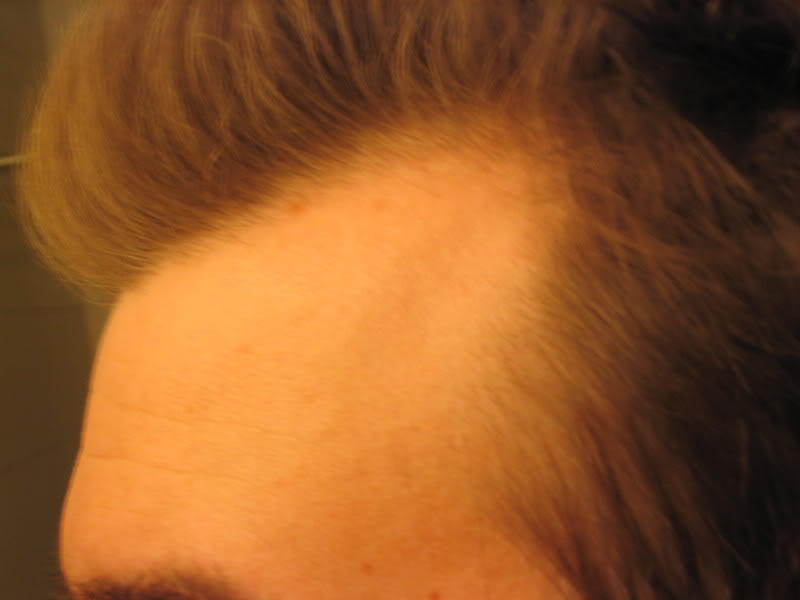 pet344343007.jpg
