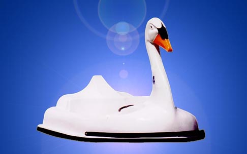 swan2seat.jpg
