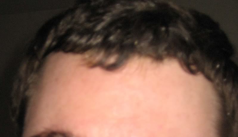 IMG_0312.jpg