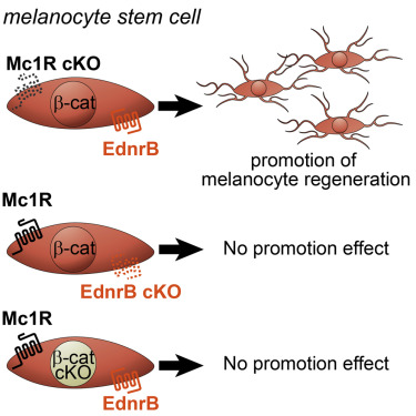 www.sciencedirect.com