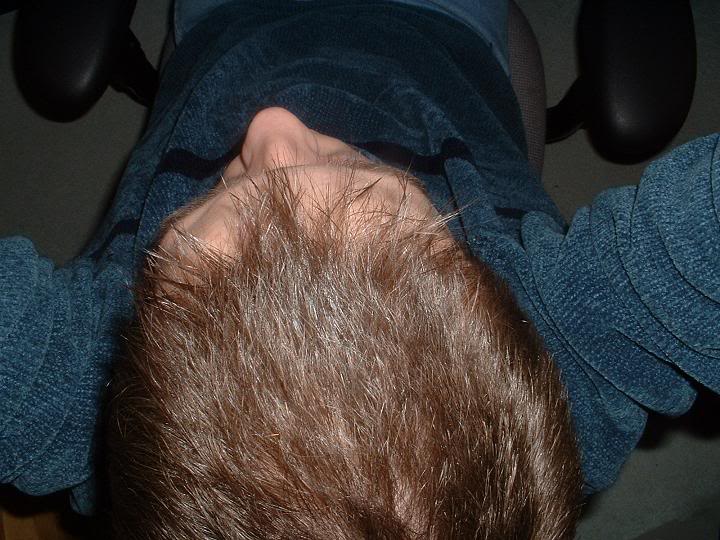 sushair4.jpg