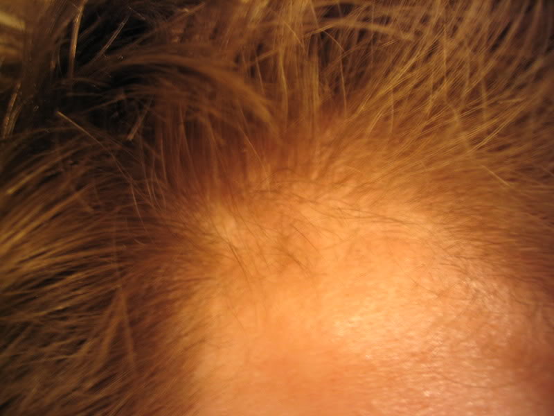 pet344343018.jpg