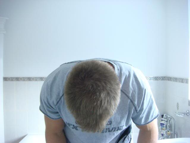 noflash1.jpg