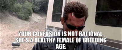 bc048b19-3ef1-4eae-bbb3-d0d1a08ae5fc_text_hi.gif