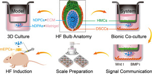 www.sciencedirect.com
