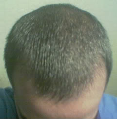 Forphotobucket.jpg