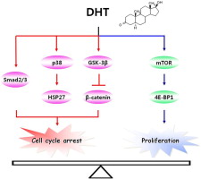 www.sciencedirect.com