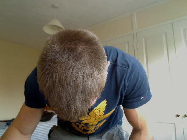 Picture21.jpg