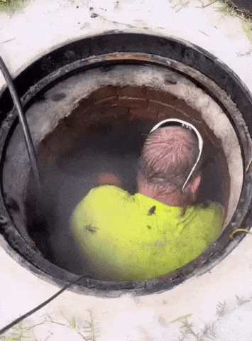 giphy-downsized-large.gif
