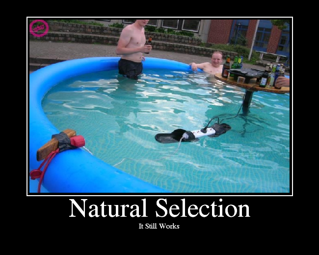 NaturalSelection.png