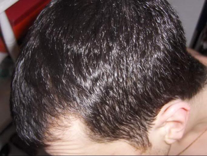 wet3.jpg