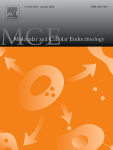 www.sciencedirect.com