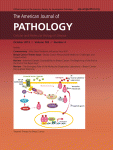 www.sciencedirect.com