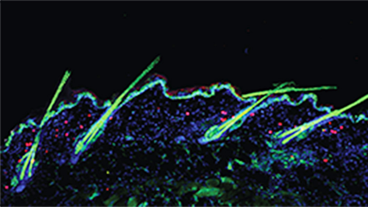 www.ucsf.edu