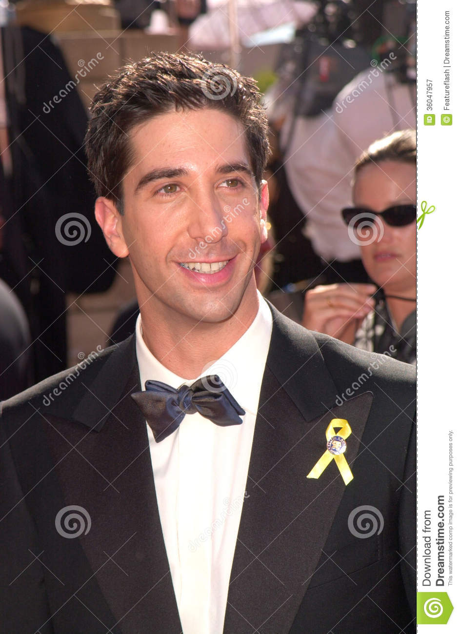 david-schwimmer-actor-nd-annual-emmy-awards-los-angeles-36047957.jpg