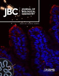 www.sciencedirect.com