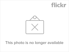 382266814_1b4b66ebf3_m.jpg