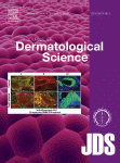 www.sciencedirect.com