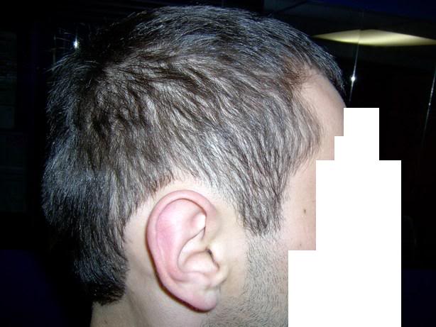 hair1.jpg