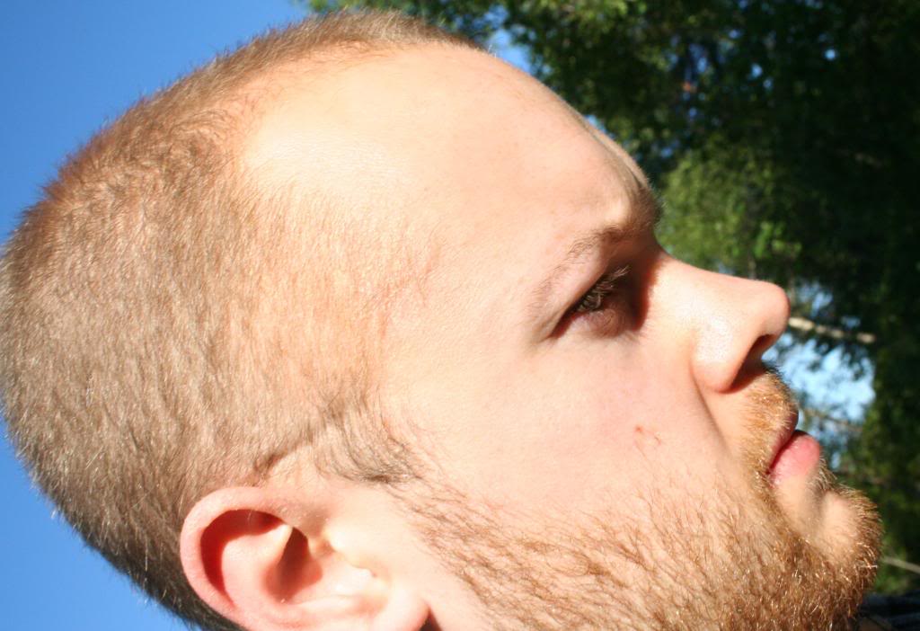 sunlight1.jpg
