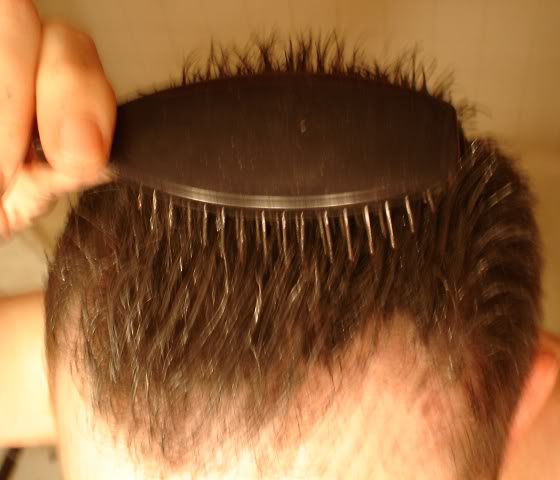 005Combingitthrough.jpg