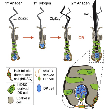 www.sciencedirect.com